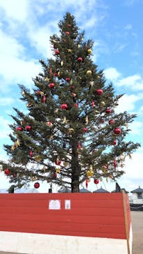 Christmas Market in 横浜赤レンガ倉庫 2025に投稿された画像（2025/12/19）