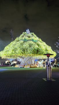 東京メガイルミに投稿された画像（2025/12/19）