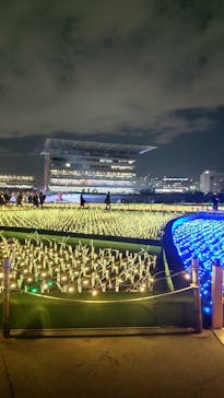 東京メガイルミに投稿された画像（2025/12/19）