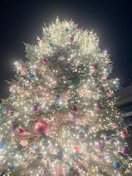 Christmas Market in 横浜赤レンガ倉庫 2025に投稿された画像（2025/12/19）