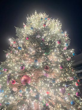 Christmas Market in 横浜赤レンガ倉庫 2025に投稿された画像（2025/12/19）