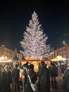 Christmas Market in 横浜赤レンガ倉庫 2025に投稿された画像（2025/12/19）