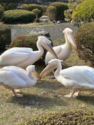 伊豆シャボテン動物公園に投稿された画像（2025/12/19）
