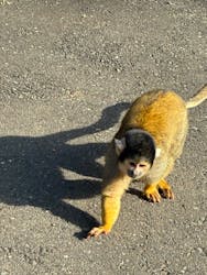 伊豆シャボテン動物公園に投稿された画像（2025/12/19）