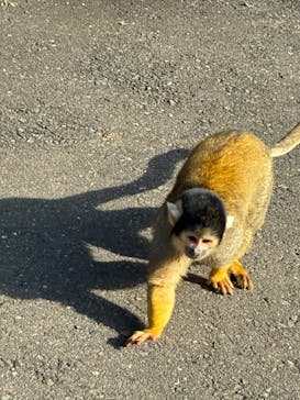 伊豆シャボテン動物公園に投稿された画像（2025/12/19）
