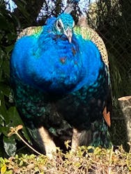 伊豆シャボテン動物公園に投稿された画像（2025/12/19）