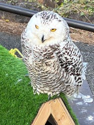 伊豆シャボテン動物公園に投稿された画像（2025/12/19）