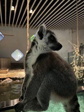 NIFREL（ニフレル）に投稿された画像（2025/12/19）