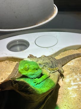 NIFREL（ニフレル）に投稿された画像（2025/12/19）