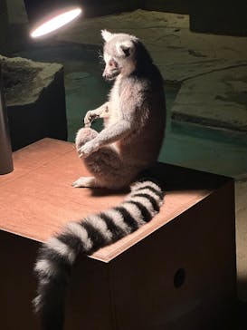 NIFREL（ニフレル）に投稿された画像（2025/12/19）