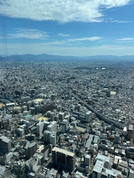 ハルカス300(展望台)に投稿された画像（2025/12/19）