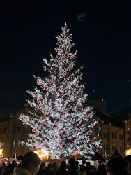 Christmas Market in 横浜赤レンガ倉庫 2025に投稿された画像（2025/12/19）