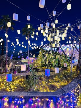 ひらかたパークに投稿された画像（2025/12/19）