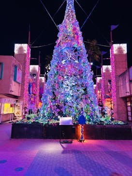 ひらかたパークに投稿された画像（2025/12/19）