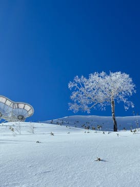 星野リゾート　トマムスキー場に投稿された画像（2025/12/19）