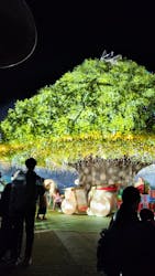 東京メガイルミに投稿された画像（2025/12/19）