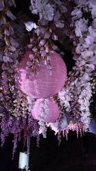 東京メガイルミに投稿された画像（2025/12/19）