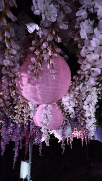 東京メガイルミに投稿された画像（2025/12/19）