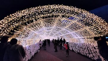 東京メガイルミに投稿された画像（2025/12/19）