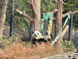 恩賜上野動物園に投稿された画像（2025/12/20）