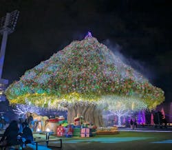 東京メガイルミに投稿された画像（2025/12/19）