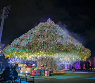 東京メガイルミに投稿された画像（2025/12/19）