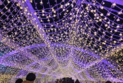 東京メガイルミに投稿された画像（2025/12/19）