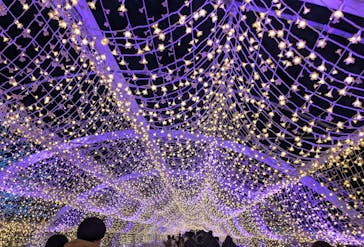 東京メガイルミに投稿された画像（2025/12/19）