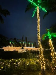 美らヤシパークオキナワ・東南植物楽園に投稿された画像（2025/12/19）