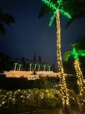 美らヤシパークオキナワ・東南植物楽園に投稿された画像（2025/12/19）