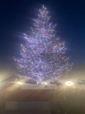 Christmas Market in 横浜赤レンガ倉庫 2025に投稿された画像（2025/12/19）