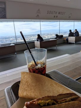 横浜ランドマークタワー 69階展望フロア スカイガーデンに投稿された画像（2025/12/19）