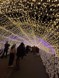 東京メガイルミに投稿された画像（2025/12/19）