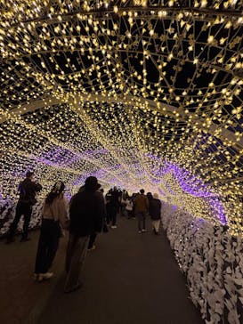 東京メガイルミに投稿された画像（2025/12/19）