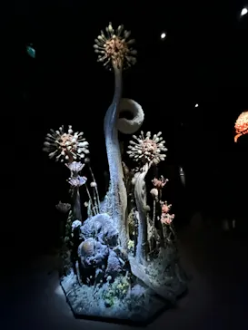 金曜ロードショーとジブリ展（静岡展）に投稿された画像（2025/12/19）