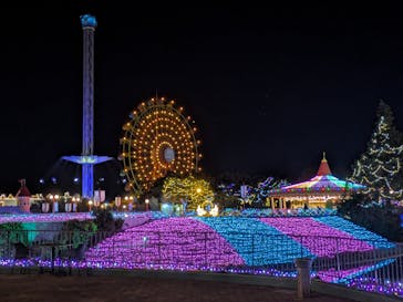 レオマリゾートに投稿された画像（2025/12/19）