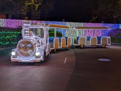 レオマリゾートに投稿された画像（2025/12/19）