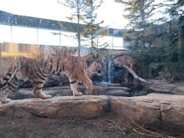 那須どうぶつ王国に投稿された画像（2025/12/19）