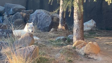 那須どうぶつ王国に投稿された画像（2025/12/19）