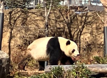 恩賜上野動物園に投稿された画像（2025/12/20）