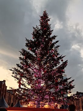Christmas Market in 横浜赤レンガ倉庫 2025に投稿された画像（2025/12/20）