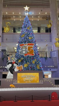 横浜ランドマークタワー 69階展望フロア スカイガーデンに投稿された画像（2025/12/20）