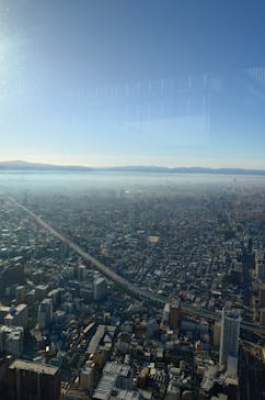 ハルカス300(展望台)に投稿された画像（2025/12/20）