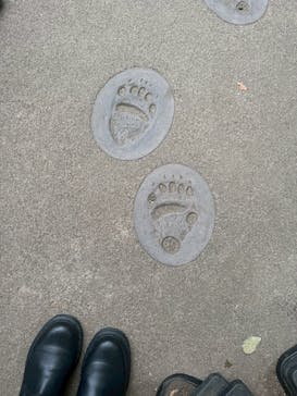 恩賜上野動物園に投稿された画像（2025/12/20）