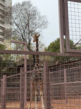 恩賜上野動物園に投稿された画像（2025/12/20）
