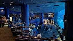 沖縄美ら海水族館に投稿された画像（2025/12/20）