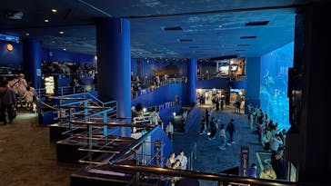 沖縄美ら海水族館に投稿された画像（2025/12/20）