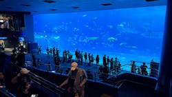 沖縄美ら海水族館に投稿された画像（2025/12/20）
