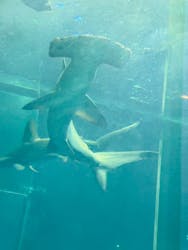 葛西臨海水族園に投稿された画像（2025/12/20）