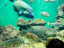 葛西臨海水族園に投稿された画像（2025/12/20）